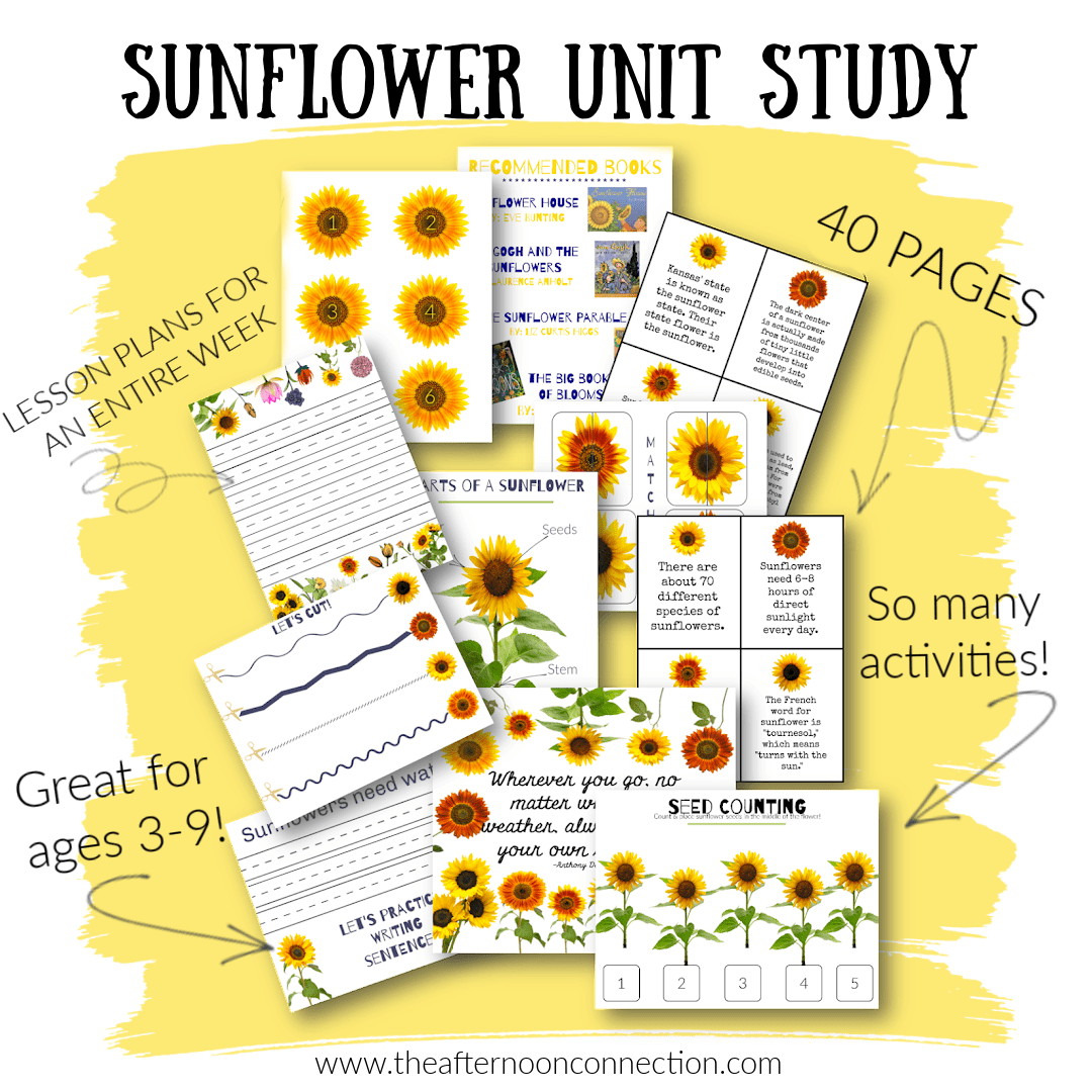 Sunflower Unit Study- Digital – The Afternoon Connection Academy