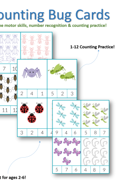 Counting-Bug-Clip-Cards